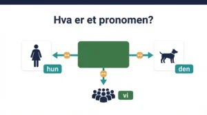 Hva er et pronomen? Definisjon, typer og eksempler